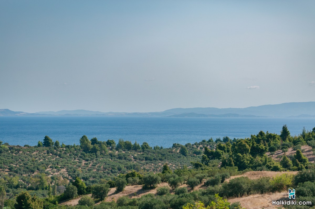 Efi's Home, 1ος Όροφος